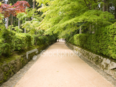 Mount Koya temple pathway